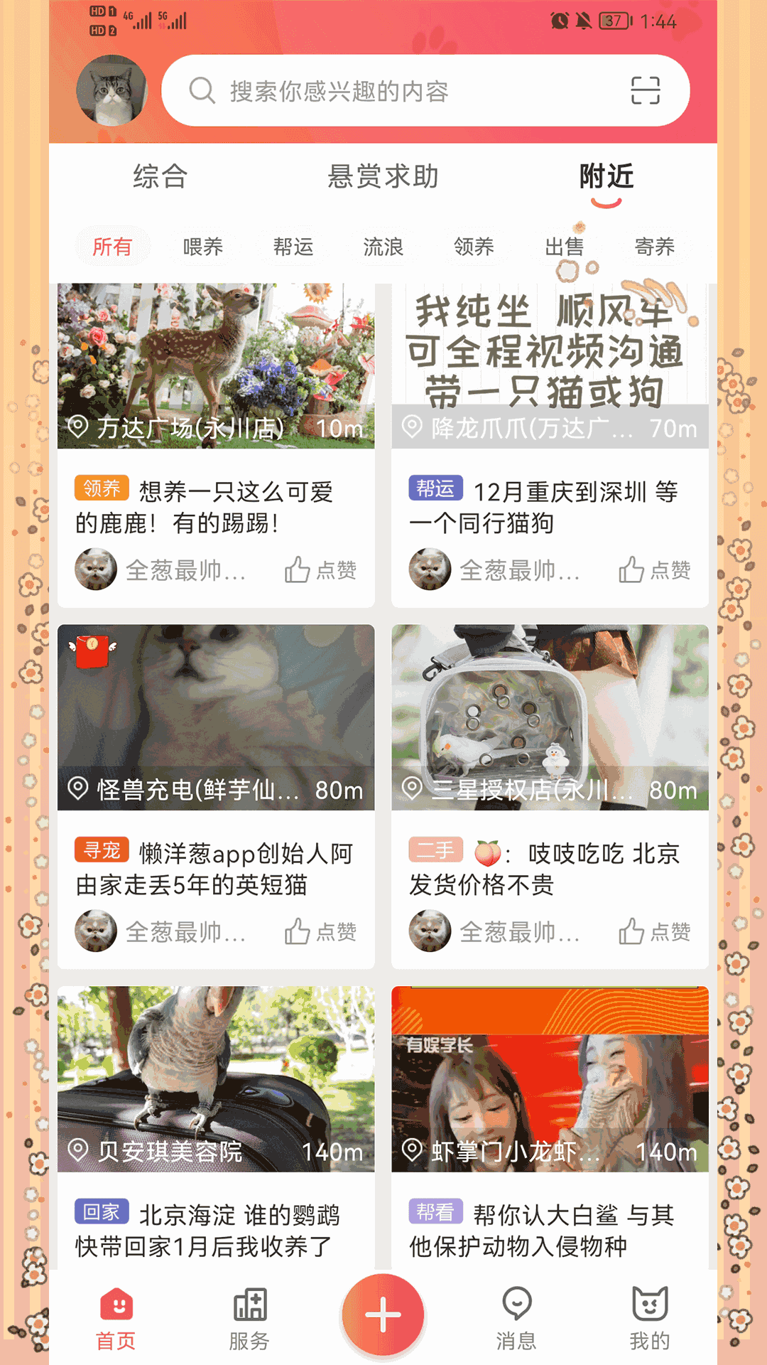 懒洋葱